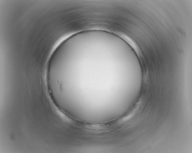 X0000115481149200911271323