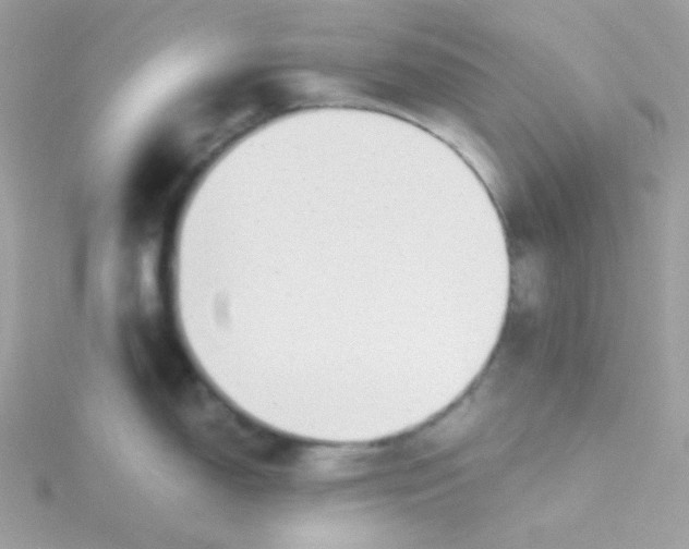 X0000115481150200911271323