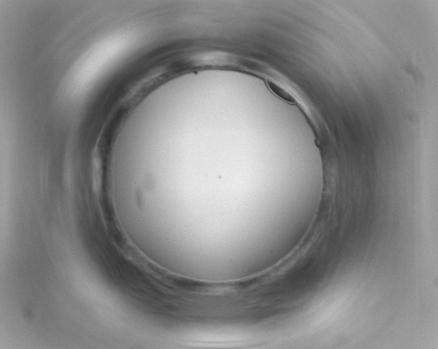 X0000115481151200911271323