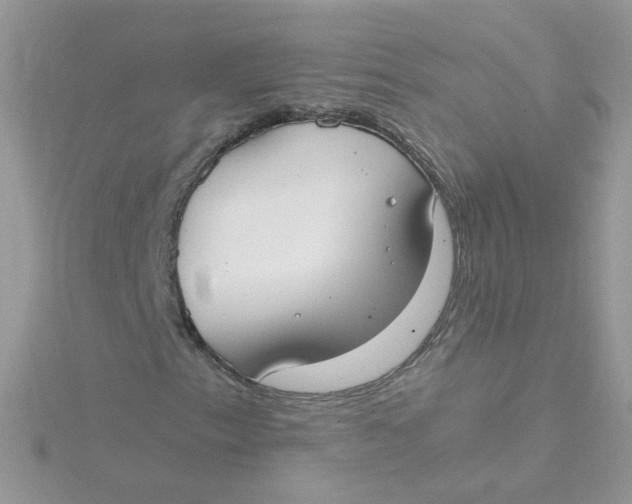 X0000115481153200911271322