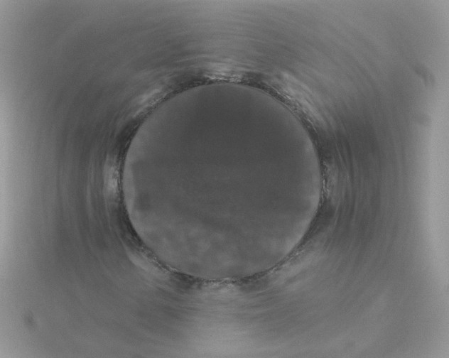 X0000115481154200911271322