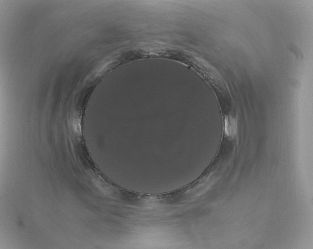 X0000115481155200911271322