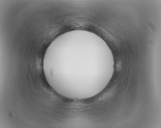 X0000115481156200911271322