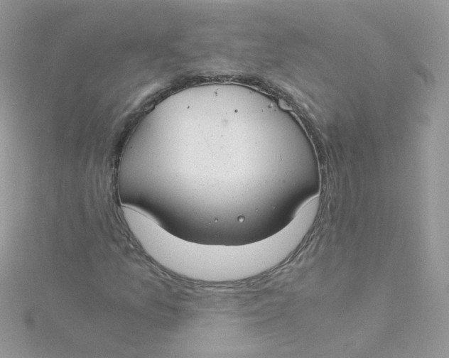 X0000115481157200911271322