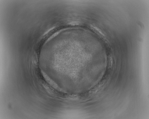 X0000115481158200911271322