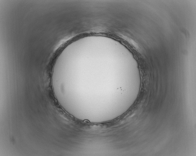 X0000115481160200911271322