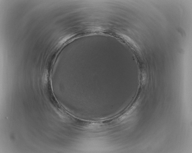 X0000115481161200911271322