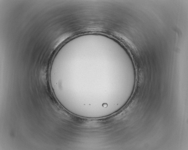 X0000115481162200911271322