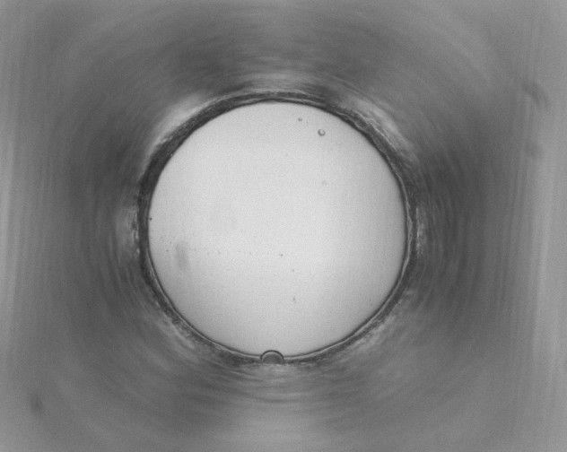 X0000115481164200911271322