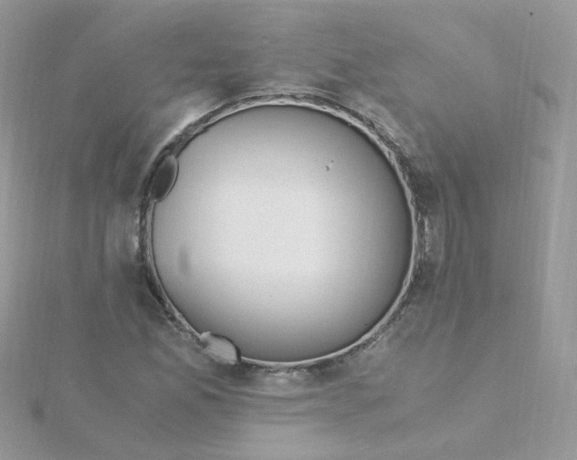 X0000115481165200911271322