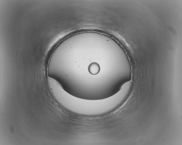 X0000115481167200911271322