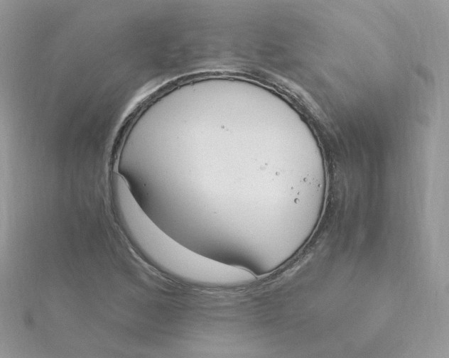 X0000115481168200911271322