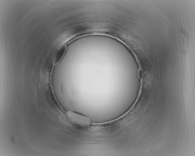 X0000115481169200911271322