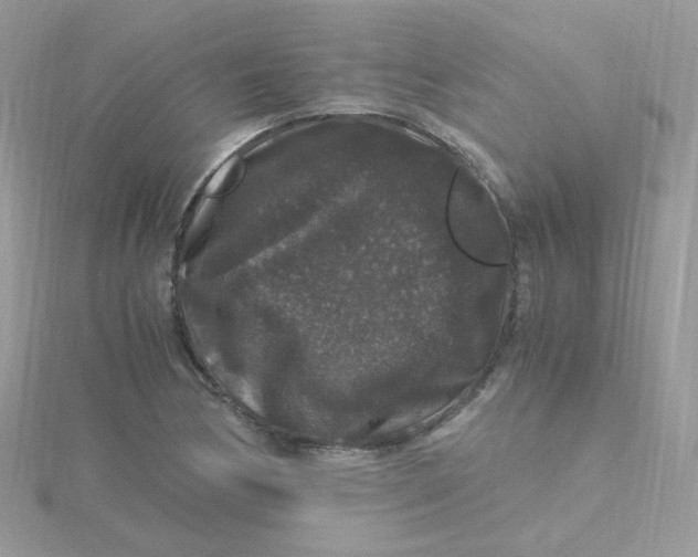 X0000115481170200911271322