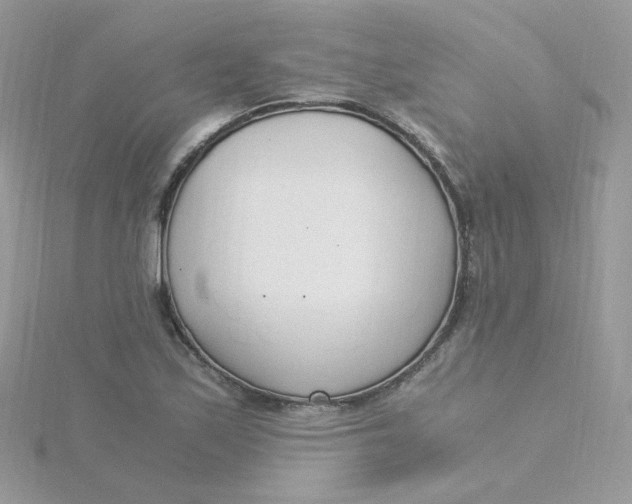 X0000115481171200911271322