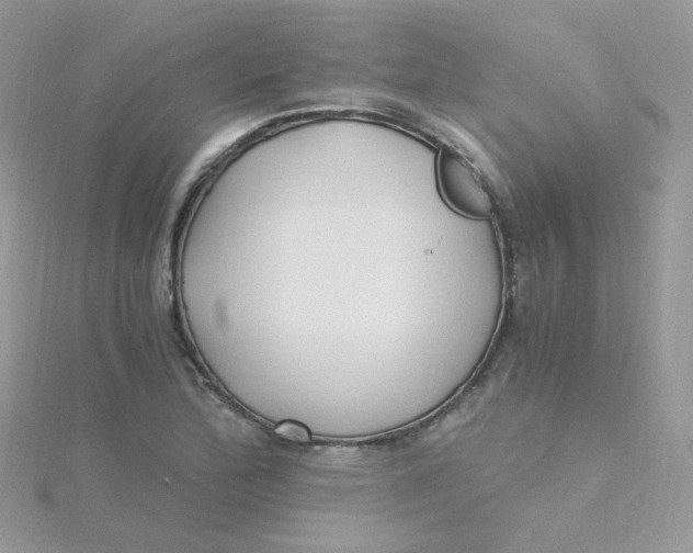 X0000115481172200911271322