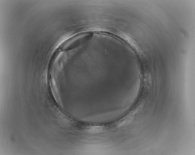 X0000115481173200911271322