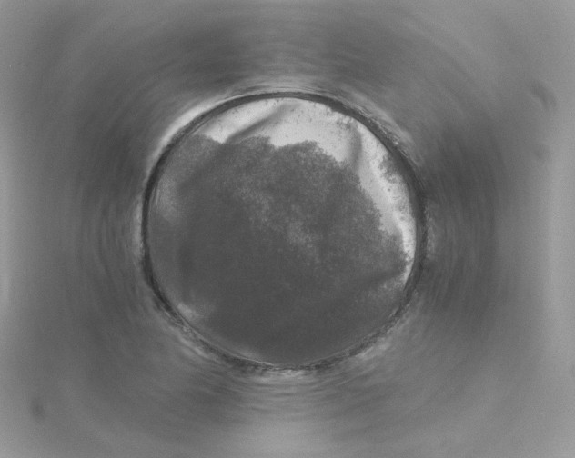 X0000115481174200911271322