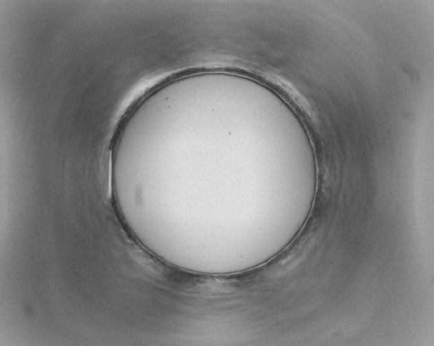 X0000115481175200911271322