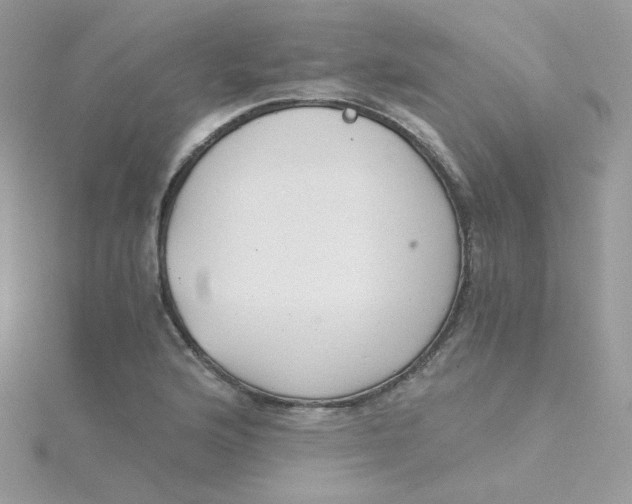 X0000115481176200911271322