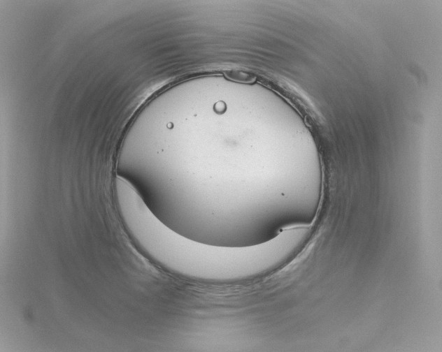 X0000115481177200911271322