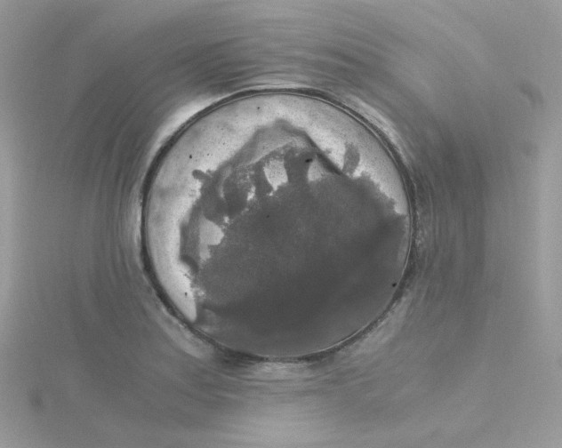 X0000115481179200911271322