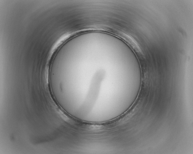 X0000115481180200911271322