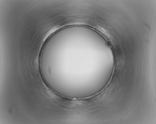 X0000115481181200911271322