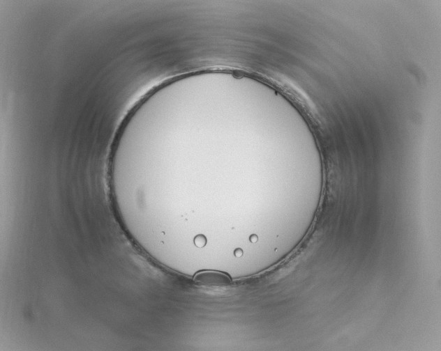 X0000115481182200911271322