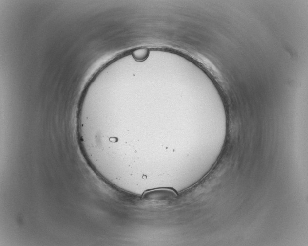 X0000115481183200911271322