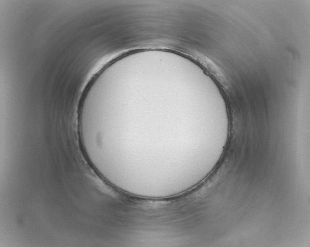 X0000115481184200911271322