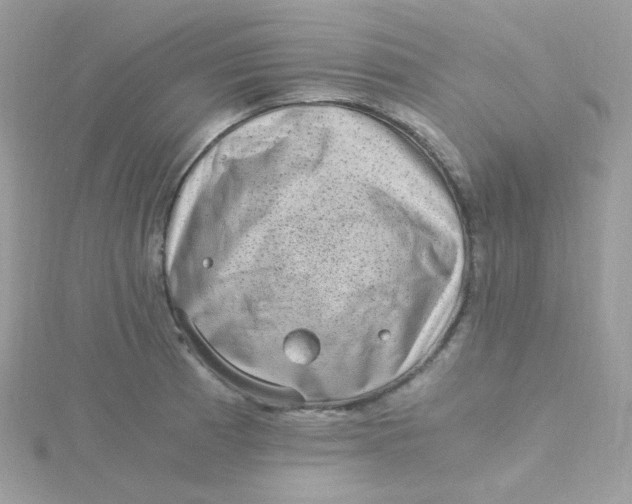 X0000115481185200911271322