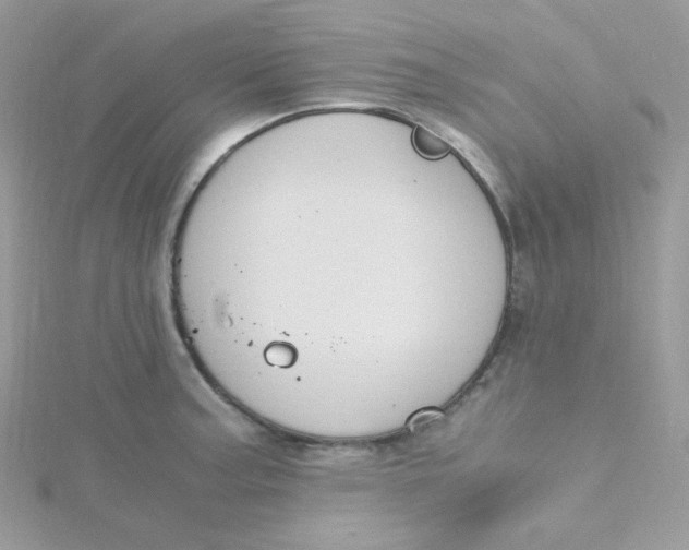 X0000115481187200911271322