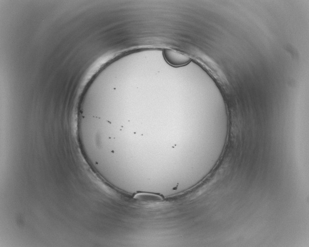 X0000115481188200911271322