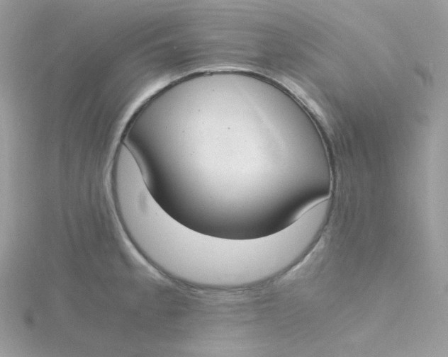 X0000115481189200911271322