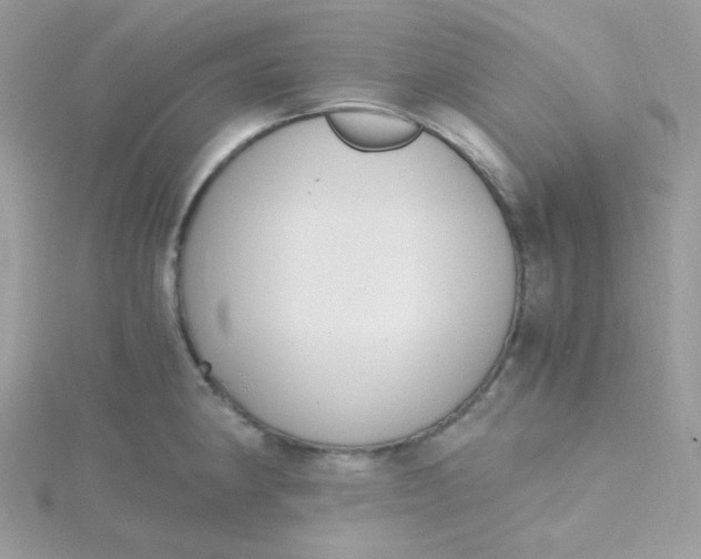 X0000115481190200911271322