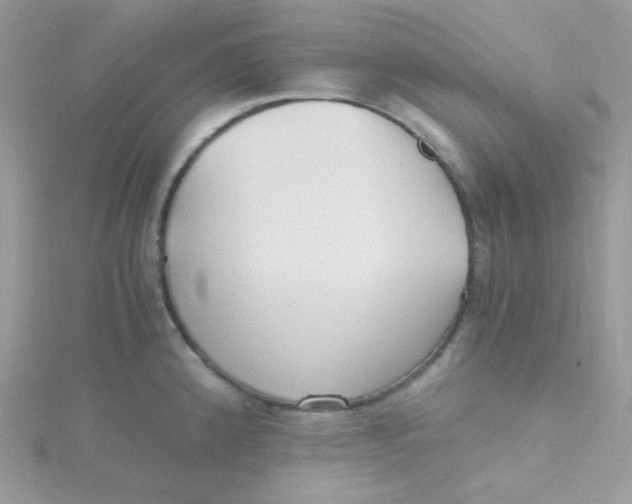 X0000115481192200911271322