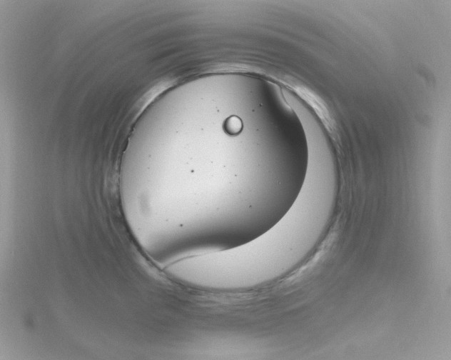 X0000115481193200911271322