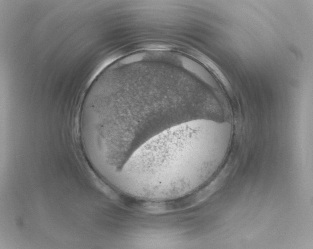 X0000115481194200911271322