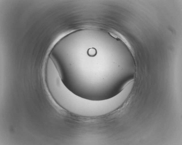 X0000115481195200911271322