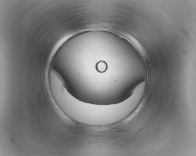 X0000115481196200911271322