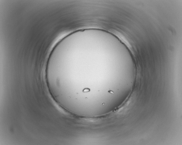 X0000115481197200911271322