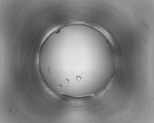 X0000115481198200911271322