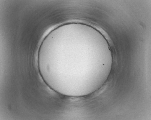 X0000115481199200911271322