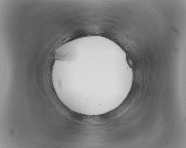 X0000115481201200911271321