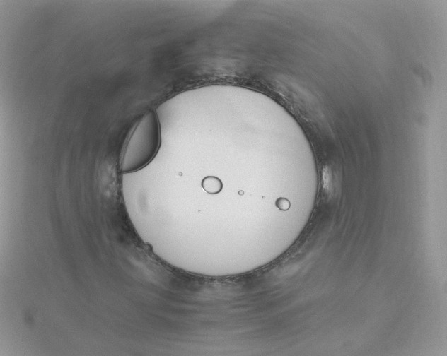 X0000115481203200911271321