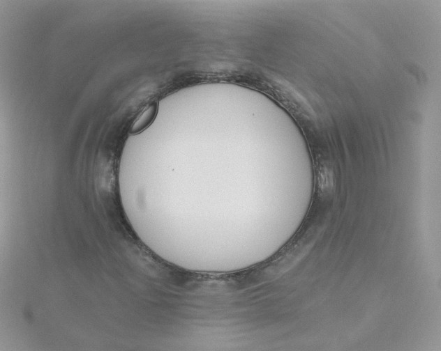 X0000115481204200911271321