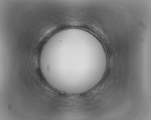 X0000115481205200911271321