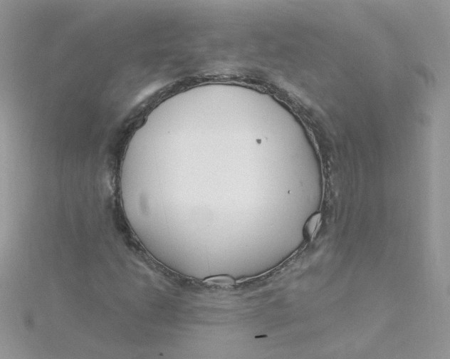 X0000115481206200911271321