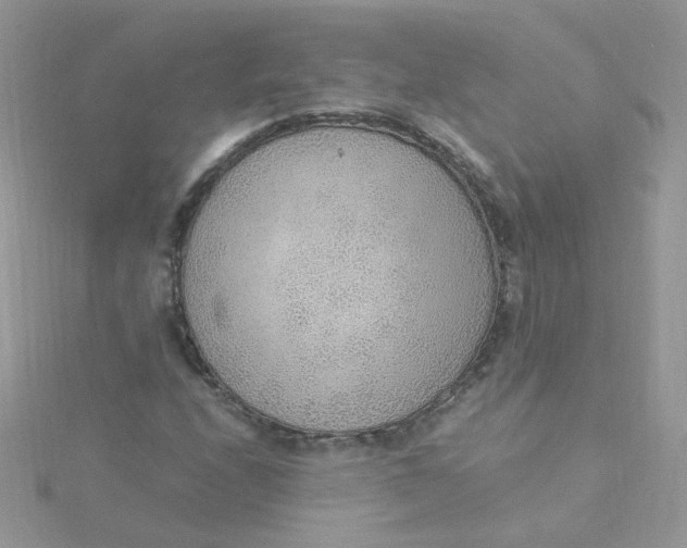 X0000115481208200911271321